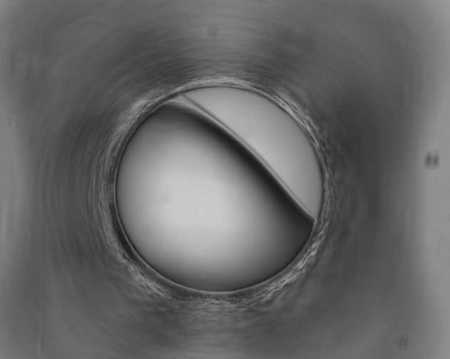 X0000091580193200708201021