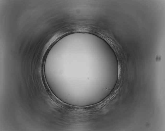 X0000091580195200708201021