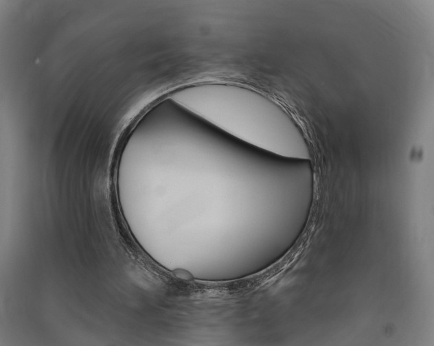 X0000091580196200708201021