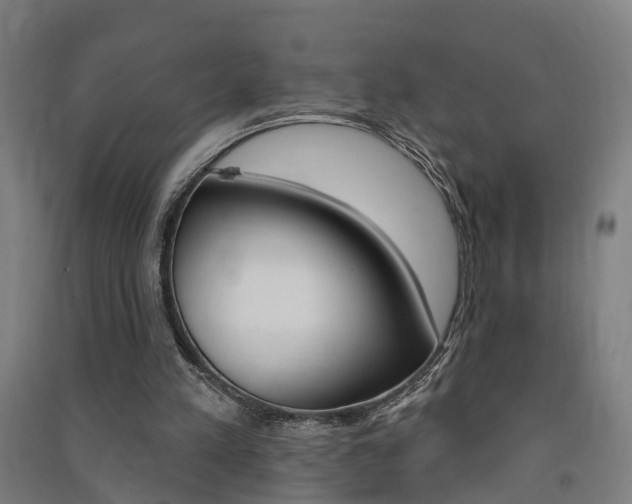 X0000091580197200708201021