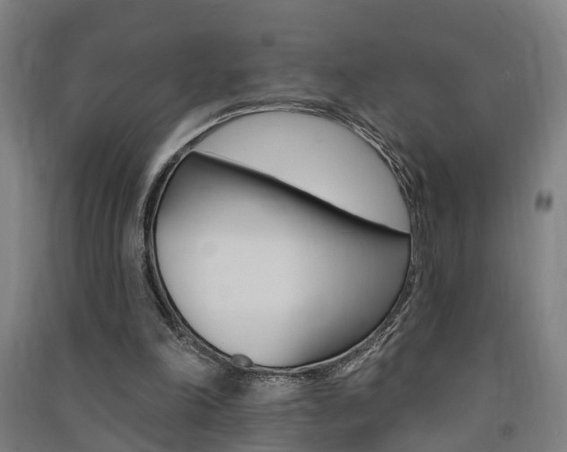 X0000091580198200708201021