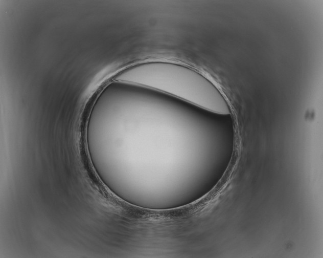 X0000091580199200708201021