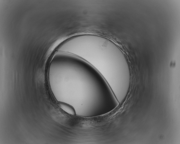 X0000091580200200708201021