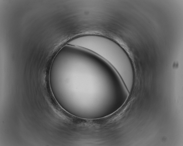 X0000091580201200708201021