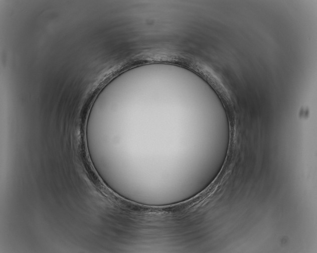 X0000091580202200708201021