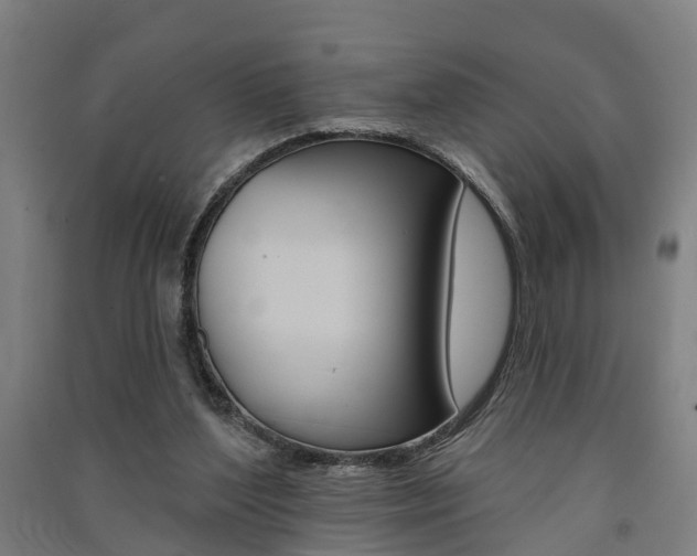 X0000091580204200708201021