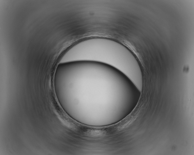 X0000091580205200708201021