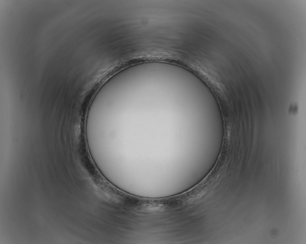 X0000091580206200708201021