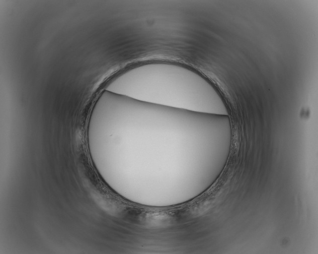 X0000091580208200708201021