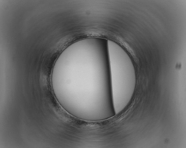 X0000091580209200708201021
