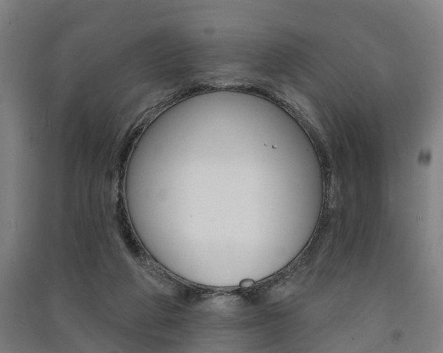 X0000091580210200708201021