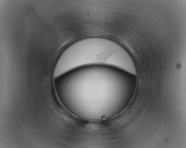 X0000091580211200708201021
