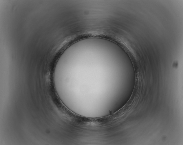 X0000091580212200708201021