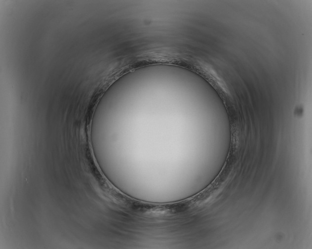 X0000091580213200708201021