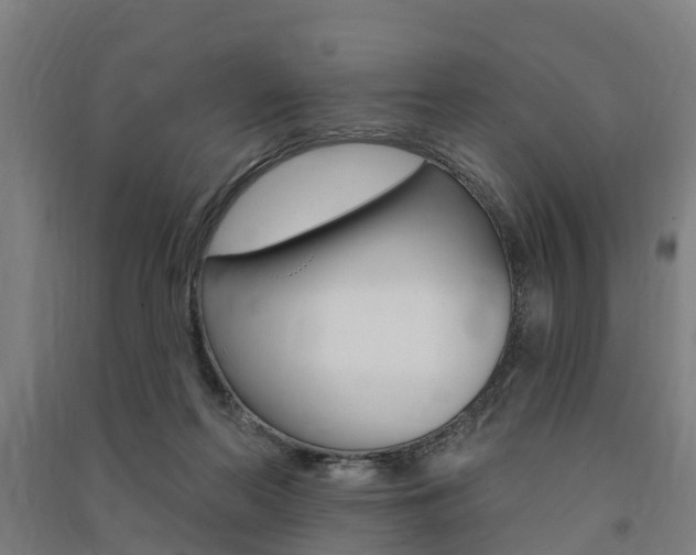 X0000091580214200708201021