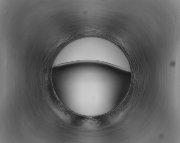 X0000091580215200708201021