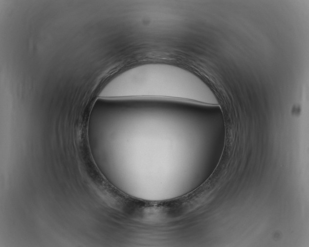 X0000091580216200708201021