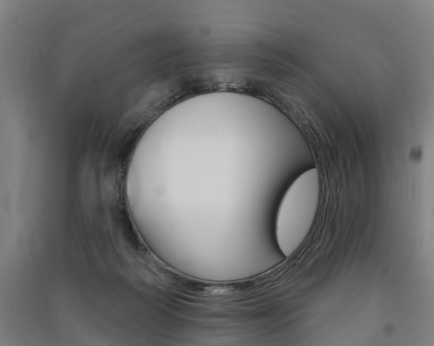 X0000091580218200708201021