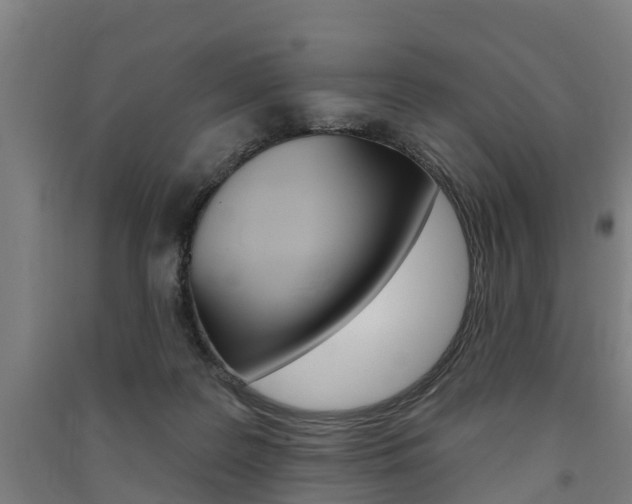 X0000091580219200708201021