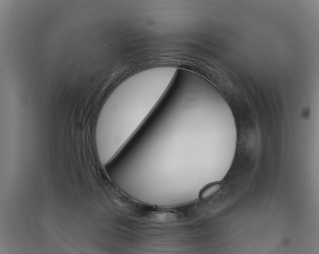 X0000091580220200708201021