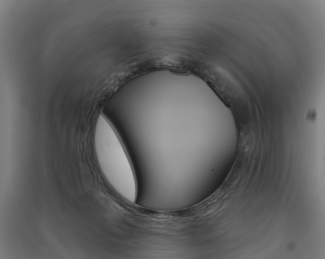 X0000091580223200708201021