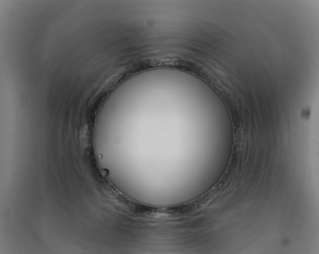 X0000091580224200708201021