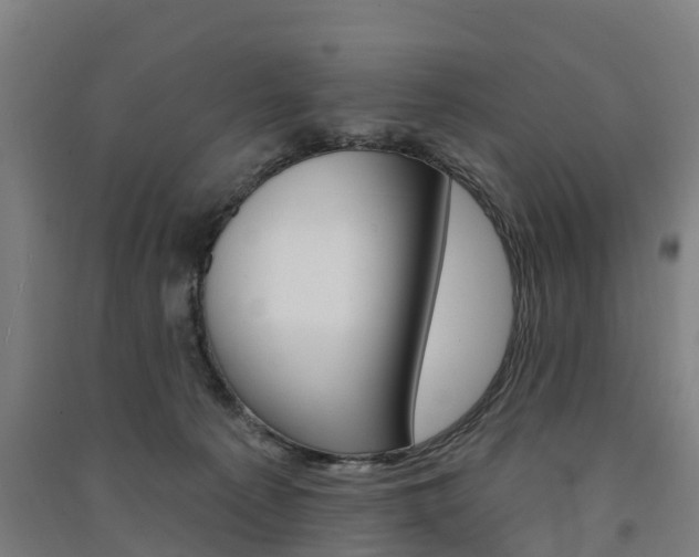 X0000091580225200708201021
