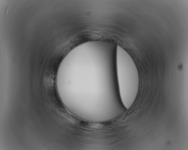 X0000091580226200708201021