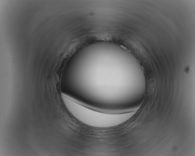 X0000091580229200708201021