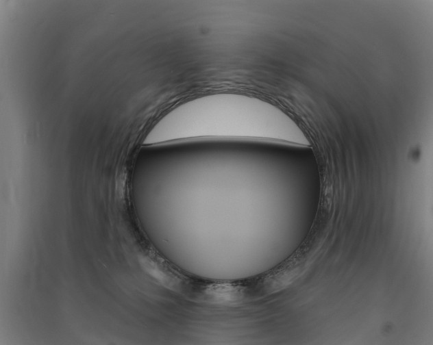 X0000091580231200708201021