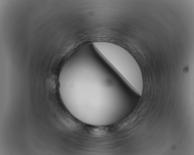 X0000091580232200708201021