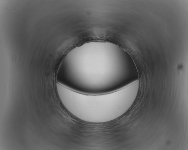 X0000091580233200708201021