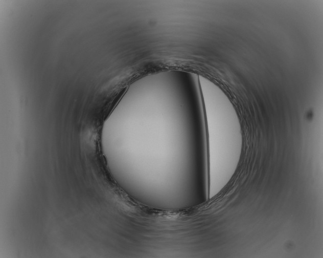 X0000091580235200708201021