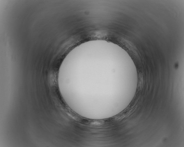 X0000091580236200708201021