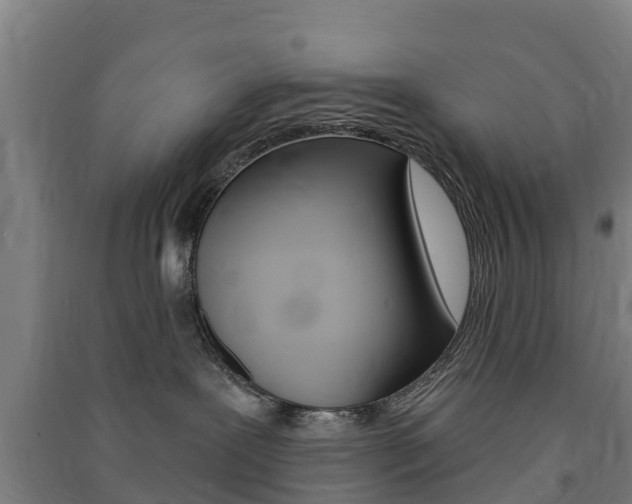 X0000091580239200708201020