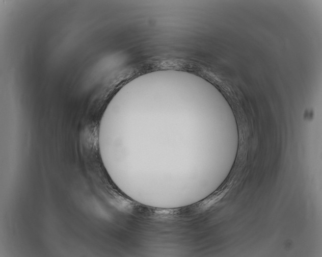 X0000091580240200708201020
