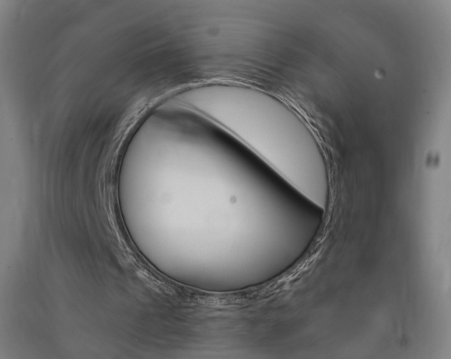 X0000091580241200708201020