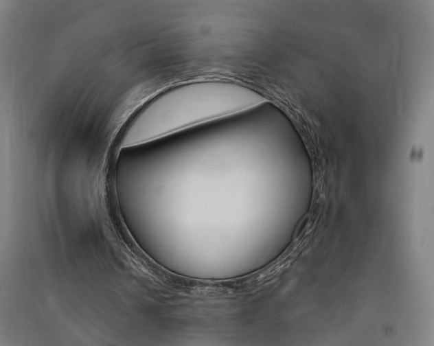 X0000091580242200708201020