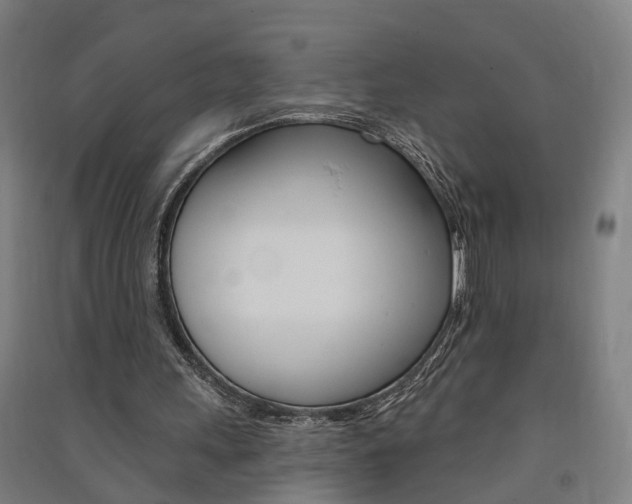 X0000091580243200708201020