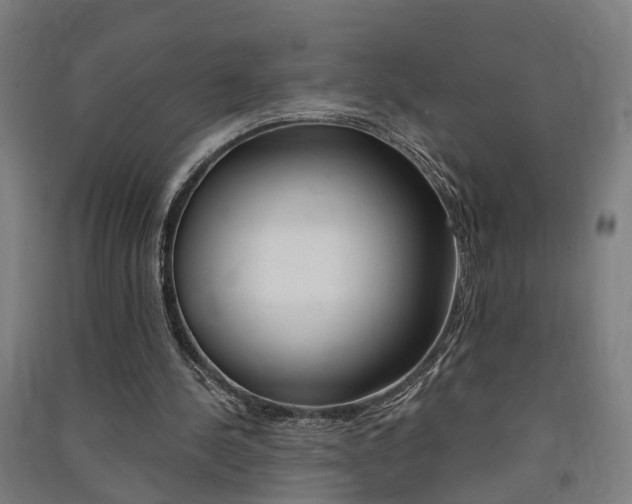X0000091580244200708201020