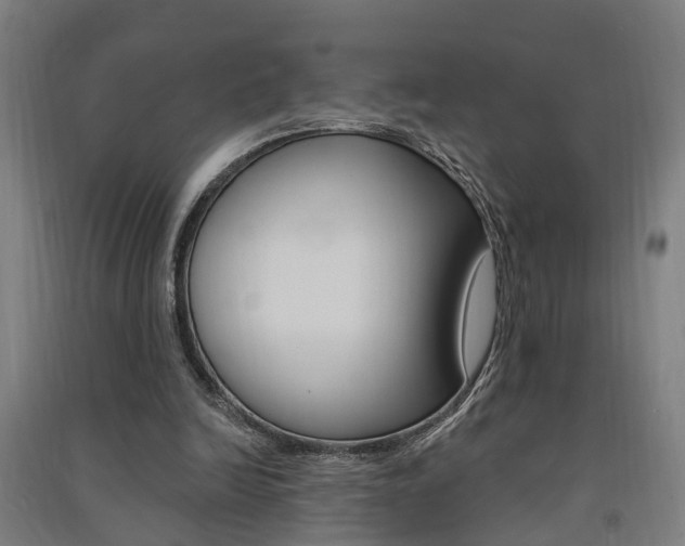 X0000091580246200708201020