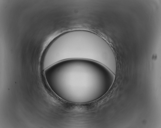 X0000091580248200708201020