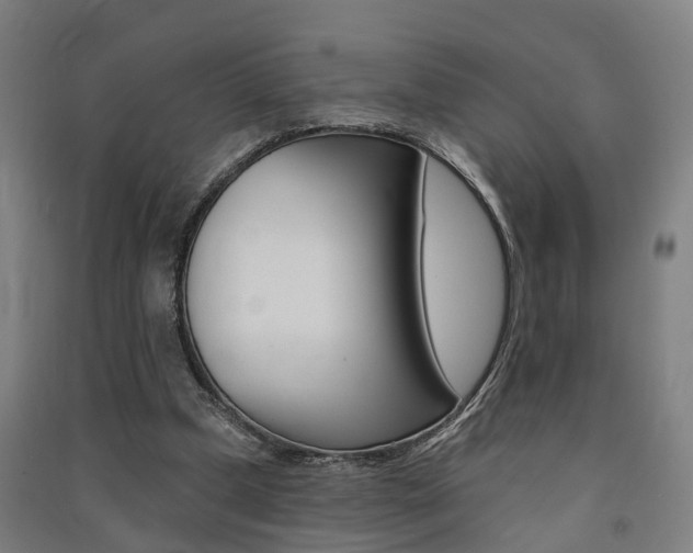 X0000091580249200708201020