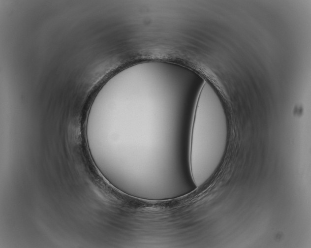 X0000091580251200708201020