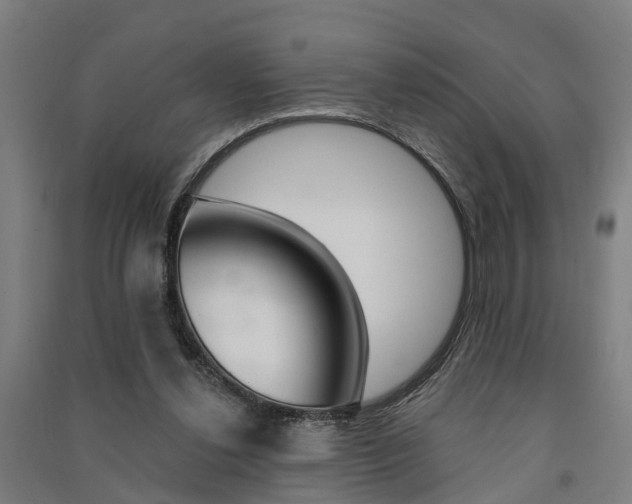 X0000091580252200708201020