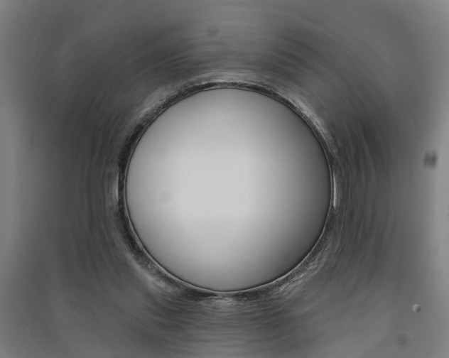 X0000091580253200708201020
