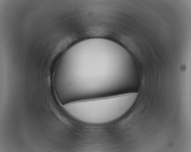 X0000091580254200708201020