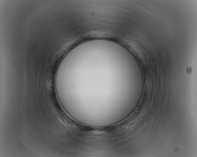 X0000091580255200708201020