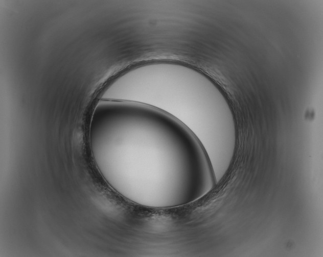 X0000091580256200708201020