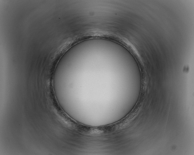 X0000091580257200708201020
